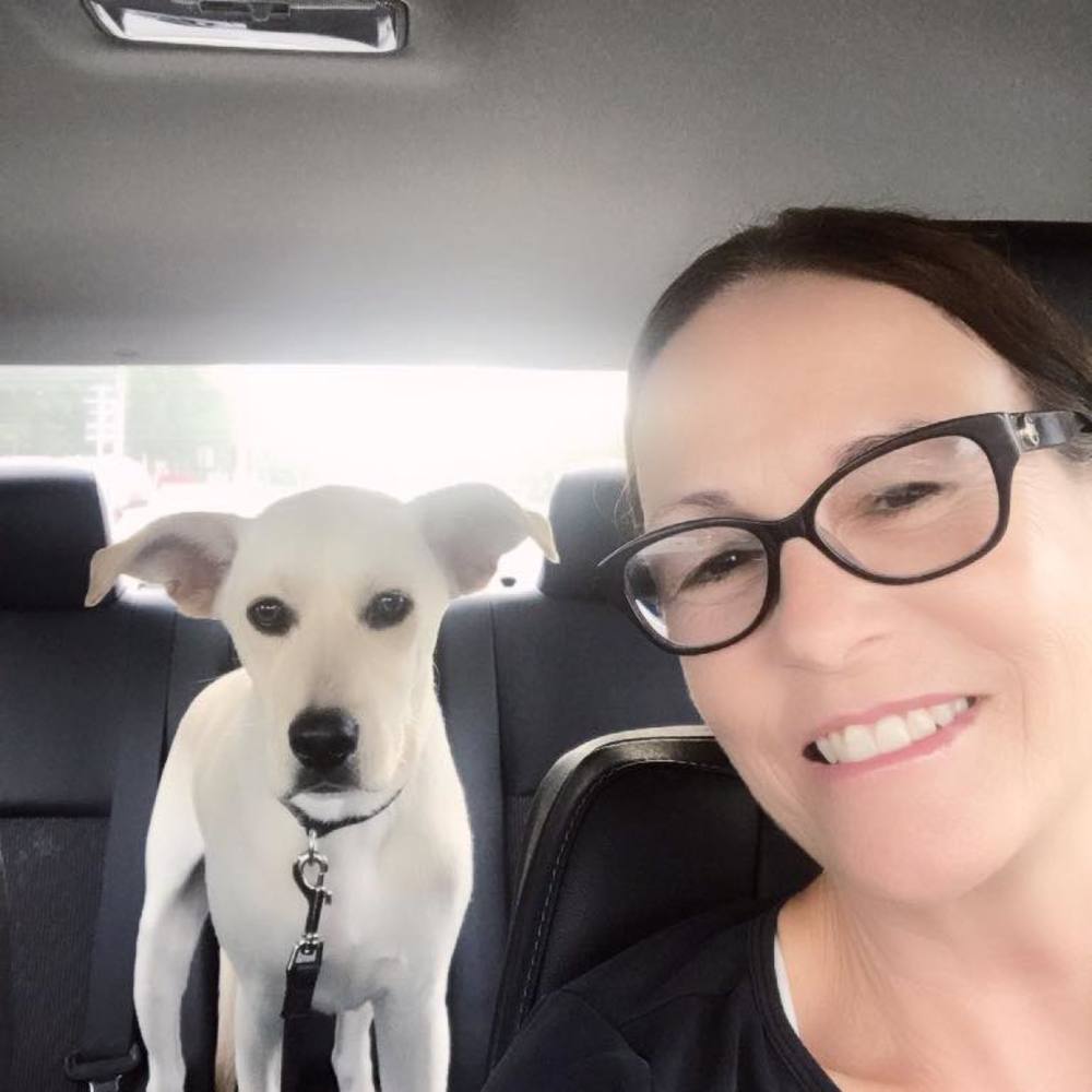 Meet your Posher, Sheila